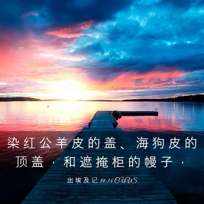 Picture 03 - 出 埃 及 记 39:34 CUVS - 染 红 公 羊 皮 的 盖 、 海 狗 皮 的 - Bible Verse Picture