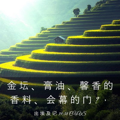 Picture 03 - 出 埃 及 记 39:38 CUVS - 金 坛 、 膏 油 、 馨 香 的 香 料 、 - Bible Verse Picture