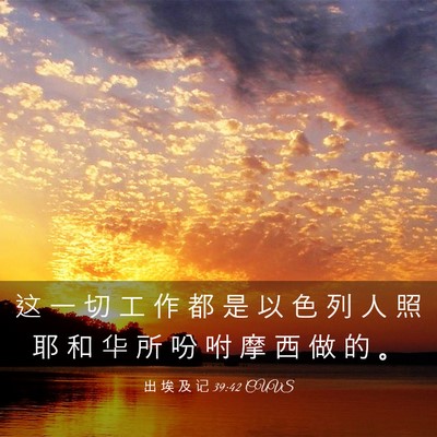 Picture 03 - 出 埃 及 记 39:42 CUVS - 这 一 切 工 作 都 是 以 色 列 人 照 - Bible Verse Picture