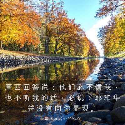 Picture 03 - 出 埃 及 记 4:1 CUVS - 摩 西 回 答 说 ： 他 们 必 不 信 我 - Bible Verse Picture