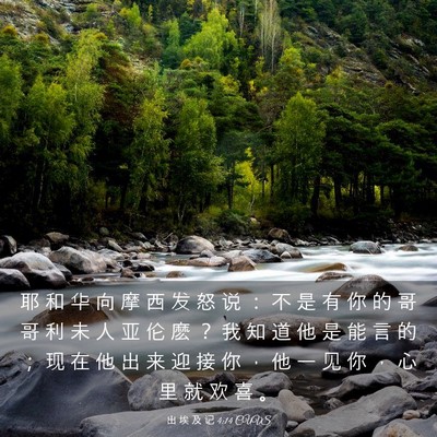 Picture 03 - 出 埃 及 记 4:14 CUVS - 耶 和 华 向 摩 西 发 怒 说 ： 不 是 - Bible Verse Picture
