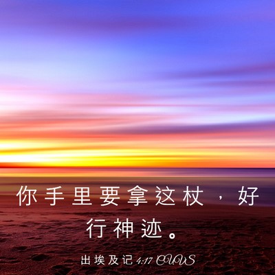 Picture 03 - 出 埃 及 记 4:17 CUVS - 你 手 里 要 拿 这 杖 ， 好 行 神 迹 - Bible Verse Picture