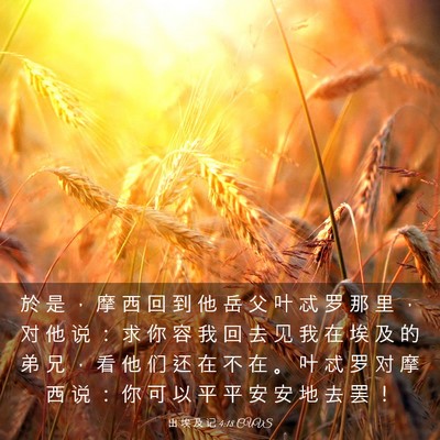 Picture 03 - 出 埃 及 记 4:18 CUVS - 於 是 ， 摩 西 回 到 他 岳 父 叶 忒 - Bible Verse Picture