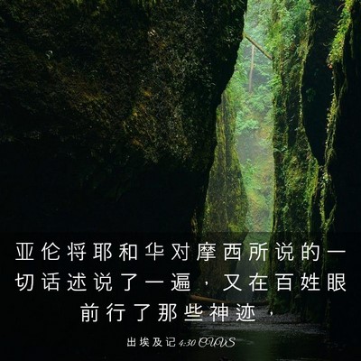Picture 03 - 出 埃 及 记 4:30 CUVS - 亚 伦 将 耶 和 华 对 摩 西 所 说 的 - Bible Verse Picture