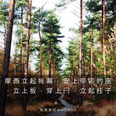 Picture 03 - 出 埃 及 记 40:18 CUVS - 摩 西 立 起 帐 幕 ， 安 上 带 卯 的 - Bible Verse Picture