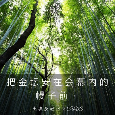 Picture 03 - 出 埃 及 记 40:26 CUVS - 把 金 坛 安 在 会 幕 内 的 幔 子 前 - Bible Verse Picture