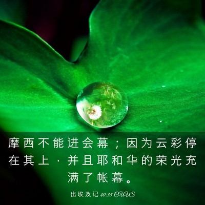 Picture 03 - 出 埃 及 记 40:35 CUVS - 摩 西 不 能 进 会 幕 ； 因 为 云 彩 - Bible Verse Picture