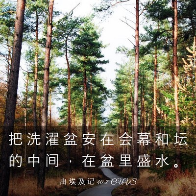 Picture 03 - 出 埃 及 记 40:7 CUVS - 把 洗 濯 盆 安 在 会 幕 和 坛 的 中 - Bible Verse Picture