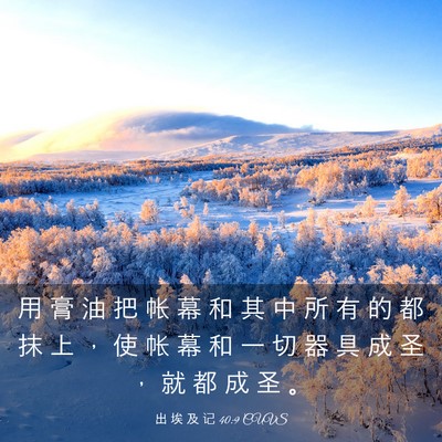 Picture 03 - 出 埃 及 记 40:9 CUVS - 用 膏 油 把 帐 幕 和 其 中 所 有 的 - Bible Verse Picture