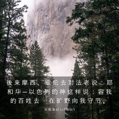 Picture 03 - 出 埃 及 记 5:1 CUVS - 後 来 摩 西 、 亚 伦 去 对 法 老 说 - Bible Verse Picture