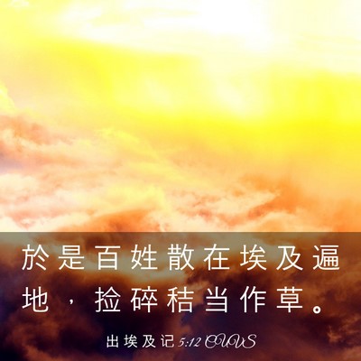 Picture 03 - 出 埃 及 记 5:12 CUVS - 於 是 百 姓 散 在 埃 及 遍 地 ， 捡 - Bible Verse Picture