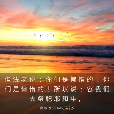 Picture 03 - 出 埃 及 记 5:17 CUVS - 但 法 老 说 ： 你 们 是 懒 惰 的 ！ - Bible Verse Picture