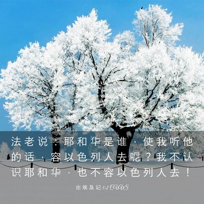 Picture 03 - 出 埃 及 记 5:2 CUVS - 法 老 说 ： 耶 和 华 是 谁 ， 使 我 - Bible Verse Picture