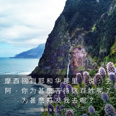 Picture 03 - 出 埃 及 记 5:22 CUVS - 摩 西 回 到 耶 和 华 那 里 ， 说 ： - Bible Verse Picture