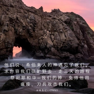 Picture 03 - 出 埃 及 记 5:3 CUVS - 他 们 说 ： 希 伯 来 人 的 神 遇 见 - Bible Verse Picture