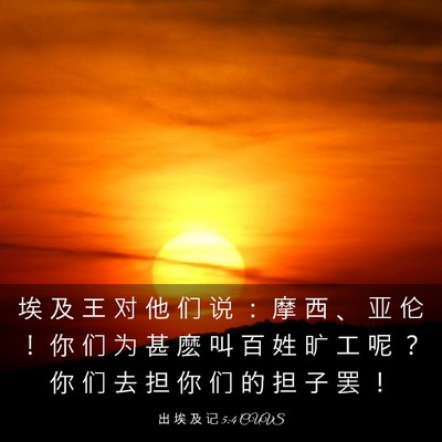 Picture 03 - 出 埃 及 记 5:4 CUVS - 埃 及 王 对 他 们 说 ： 摩 西 、 亚 - Bible Verse Picture