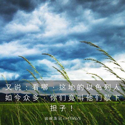 Picture 03 - 出 埃 及 记 5:5 CUVS - 又 说 ： 看 哪 ， 这 地 的 以 色 列 - Bible Verse Picture