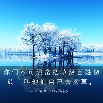Picture 03 - 出 埃 及 记 5:7 CUVS - 你 们 不 可 照 常 把 草 给 百 姓 做 - Bible Verse Picture