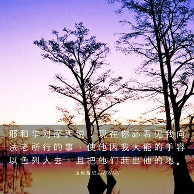Picture 03 - 出 埃 及 记 6:1 CUVS - 耶 和 华 对 摩 西 说 ： 现 在 你 必 - Bible Verse Picture