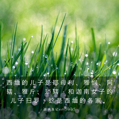Picture 03 - 出 埃 及 记 6:15 CUVS - 西 缅 的 儿 子 是 耶 母 利 、 雅 悯 - Bible Verse Picture