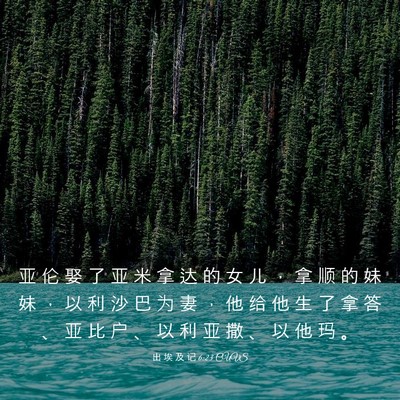 Picture 03 - 出 埃 及 记 6:23 CUVS - 亚 伦 娶 了 亚 米 拿 达 的 女 儿 ， - Bible Verse Picture