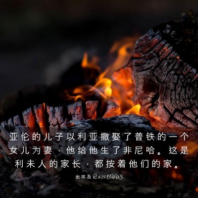 Picture 03 - 出 埃 及 记 6:25 CUVS - 亚 伦 的 儿 子 以 利 亚 撒 娶 了 普 - Bible Verse Picture