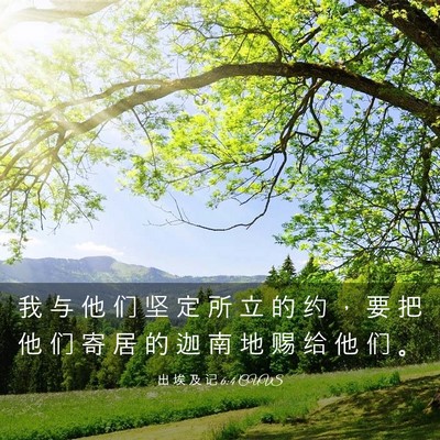 Picture 03 - 出 埃 及 记 6:4 CUVS - 我 与 他 们 坚 定 所 立 的 约 ， 要 - Bible Verse Picture