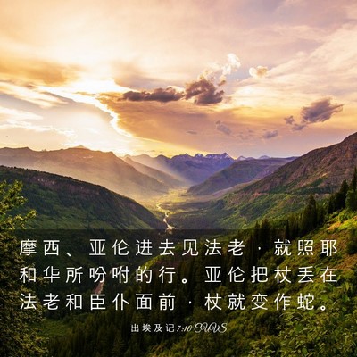 Picture 03 - 出 埃 及 记 7:10 CUVS - 摩 西 、 亚 伦 进 去 见 法 老 ， 就 - Bible Verse Picture