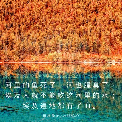 Picture 03 - 出 埃 及 记 7:21 CUVS - 河 里 的 鱼 死 了 ， 河 也 腥 臭 了 - Bible Verse Picture