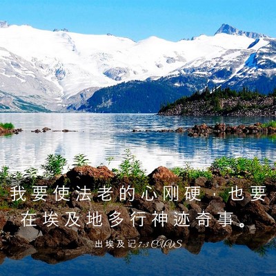Picture 03 - 出 埃 及 记 7:3 CUVS - 我 要 使 法 老 的 心 刚 硬 ， 也 要 - Bible Verse Picture
