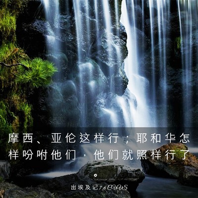 Picture 03 - 出 埃 及 记 7:6 CUVS - 摩 西 、 亚 伦 这 样 行 ； 耶 和 华 - Bible Verse Picture