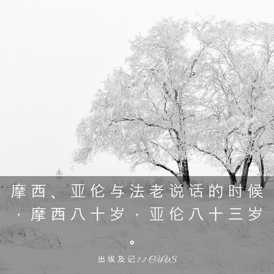 Picture 03 - 出 埃 及 记 7:7 CUVS - 摩 西 、 亚 伦 与 法 老 说 话 的 时 - Bible Verse Picture