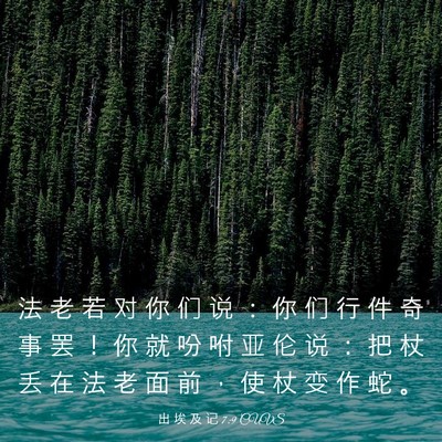 Picture 03 - 出 埃 及 记 7:9 CUVS - 法 老 若 对 你 们 说 ： 你 们 行 件 - Bible Verse Picture