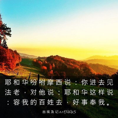 Picture 03 - 出 埃 及 记 8:1 CUVS - 耶 和 华 吩 咐 摩 西 说 ： 你 进 去 - Bible Verse Picture
