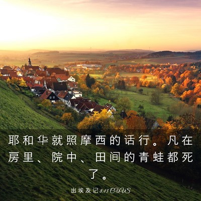 Picture 03 - 出 埃 及 记 8:13 CUVS - 耶 和 华 就 照 摩 西 的 话 行 。 凡 - Bible Verse Picture