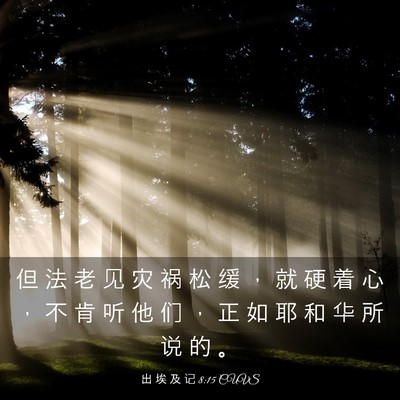 Picture 03 - 出 埃 及 记 8:15 CUVS - 但 法 老 见 灾 祸 松 缓 ， 就 硬 着 - Bible Verse Picture
