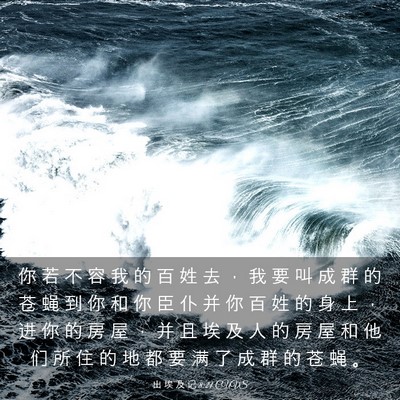 Picture 03 - 出 埃 及 记 8:21 CUVS - 你 若 不 容 我 的 百 姓 去 ， 我 要 - Bible Verse Picture