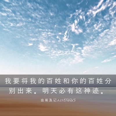 Picture 03 - 出 埃 及 记 8:23 CUVS - 我 要 将 我 的 百 姓 和 你 的 百 姓 - Bible Verse Picture