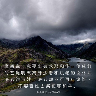 Picture 03 - 出 埃 及 记 8:29 CUVS - 摩 西 说 ： 我 要 出 去 求 耶 和 华 - Bible Verse Picture