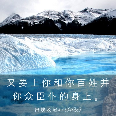 Picture 03 - 出 埃 及 记 8:4 CUVS - 又 要 上 你 和 你 百 姓 并 你 众 臣 - Bible Verse Picture