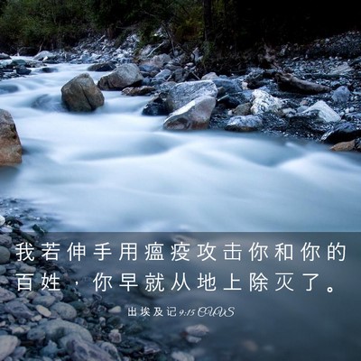 Picture 03 - 出 埃 及 记 9:15 CUVS - 我 若 伸 手 用 瘟 疫 攻 击 你 和 你 - Bible Verse Picture