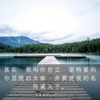 Picture 03 - 出 埃 及 记 9:16 CUVS - 其 实 ， 我 叫 你 存 立 ， 是 特 要 - Bible Verse Picture