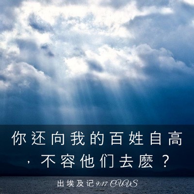 Picture 03 - 出 埃 及 记 9:17 CUVS - 你 还 向 我 的 百 姓 自 高 ， 不 容 - Bible Verse Picture