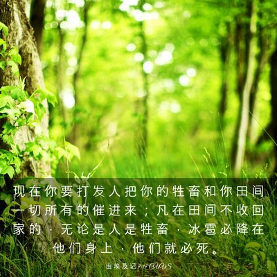 Picture 03 - 出 埃 及 记 9:19 CUVS - 现 在 你 要 打 发 人 把 你 的 牲 畜 - Bible Verse Picture