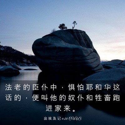 Picture 03 - 出 埃 及 记 9:20 CUVS - 法 老 的 臣 仆 中 ， 惧 怕 耶 和 华 - Bible Verse Picture