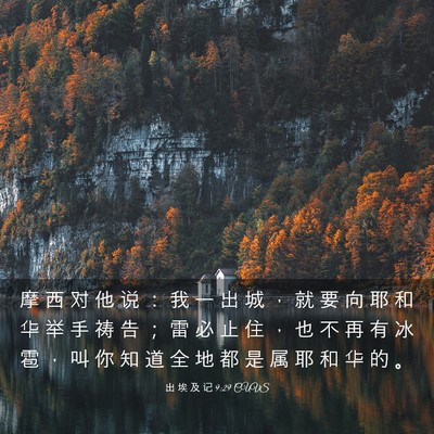 Picture 03 - 出 埃 及 记 9:29 CUVS - 摩 西 对 他 说 ： 我 一 出 城 ， 就 - Bible Verse Picture