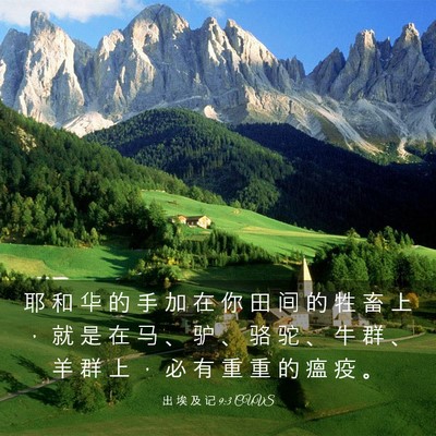 Picture 03 - 出 埃 及 记 9:3 CUVS - 耶 和 华 的 手 加 在 你 田 间 的 牲 - Bible Verse Picture