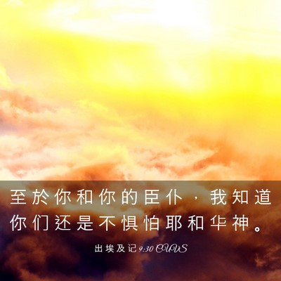 Picture 03 - 出 埃 及 记 9:30 CUVS - 至 於 你 和 你 的 臣 仆 ， 我 知 道 - Bible Verse Picture
