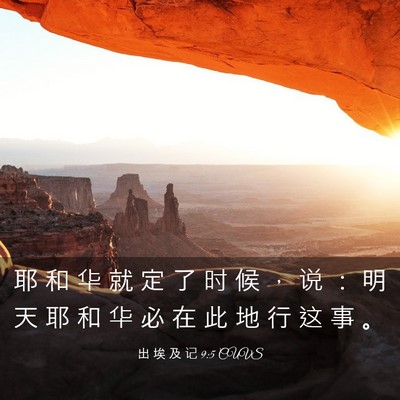 Picture 03 - 出 埃 及 记 9:5 CUVS - 耶 和 华 就 定 了 时 候 ， 说 ： 明 - Bible Verse Picture
