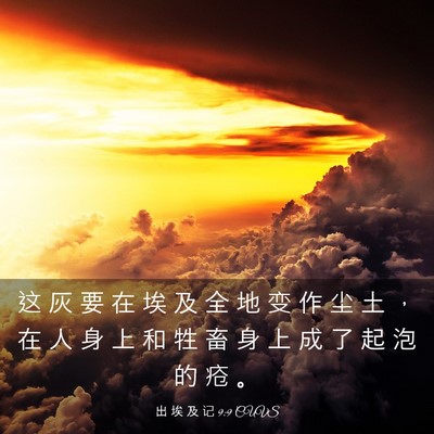 Picture 03 - 出 埃 及 记 9:9 CUVS - 这 灰 要 在 埃 及 全 地 变 作 尘 土 - Bible Verse Picture
